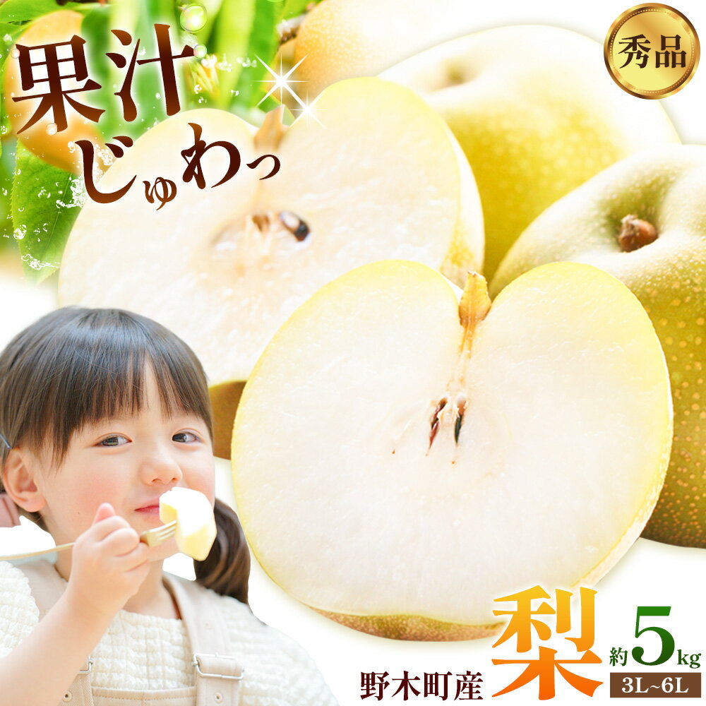 【ふるさと納税】梨 幸水 豊水 秀品 約5kg 3L ～ 6L 選べる 品種 井岡農園 《8月上旬-9月中旬頃出荷予定》 栃木県 野木町 なし ナシ くだもの 果物 青果物 フルーツ
