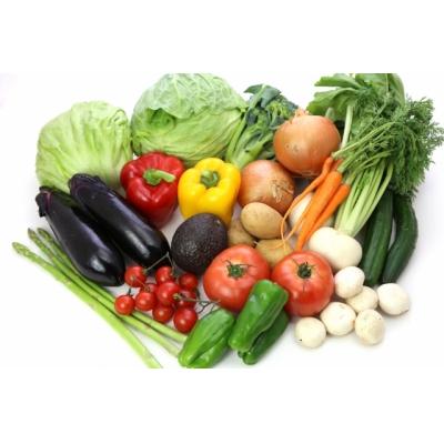 ふるさと納税 錦江町 季節の野菜の詰め合せ No.1017-1