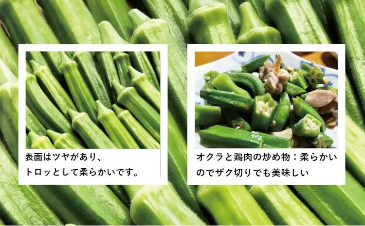トロッとおいしいオクラ＜40本、約500g＞　40P3223【ひない渡辺農園しどけ村】
