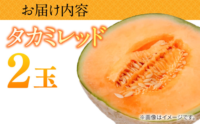 【2027年5月～発送】タカミメロン レッド 2玉 / メロン めろん フルーツ 果物 / 南島原市 / 南島原果物屋 [SCV030]