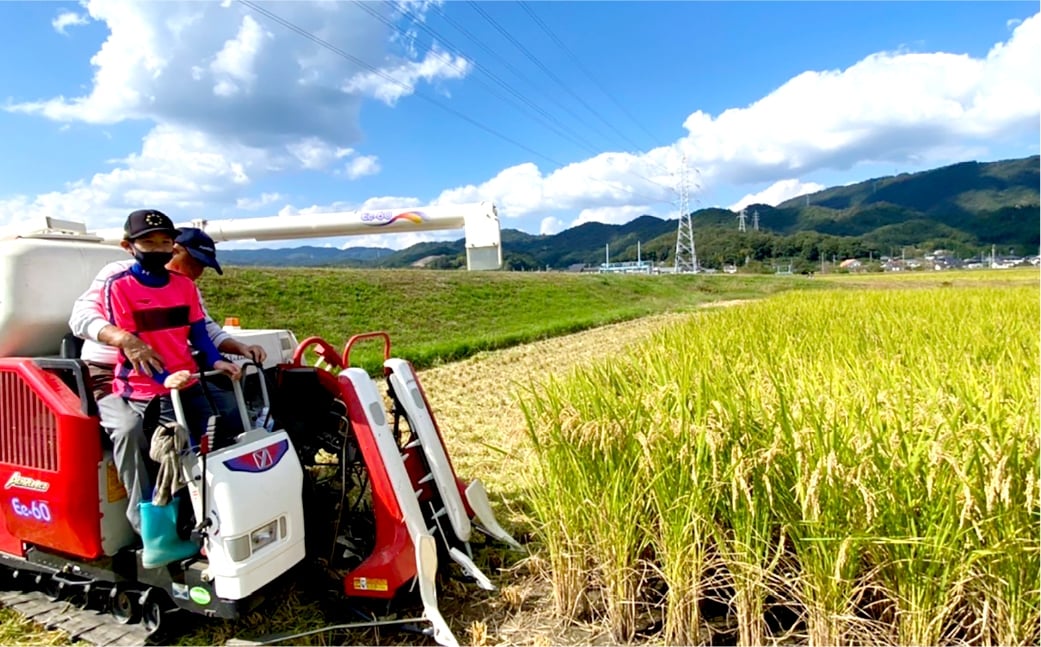 白米 倉敷市産 ヒノヒカリ10kg