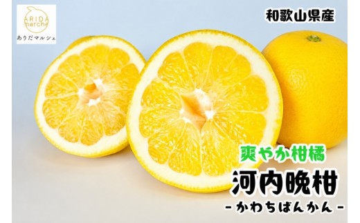 
                   爽快 柑橘 有田 育ちの爽やか 河内晩柑 （ ご家庭用 わけあり ） 7.5kg+200g(補償分) / 晩柑 宇和ゴールド ジューシーオレンジ 愛南ゴールド ナダオレンジ 天草晩柑 夏文旦 和歌山 ※北海道・沖縄・その他離島地域は発送不可 ※2027年4月上旬～5月下旬に順次発送【ard026-c-7d5C】
                