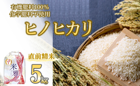 【新米先行予約】令和７年産 新米 ヒノヒカリ 5kg 白米【11月上旬～順次発送】15-64