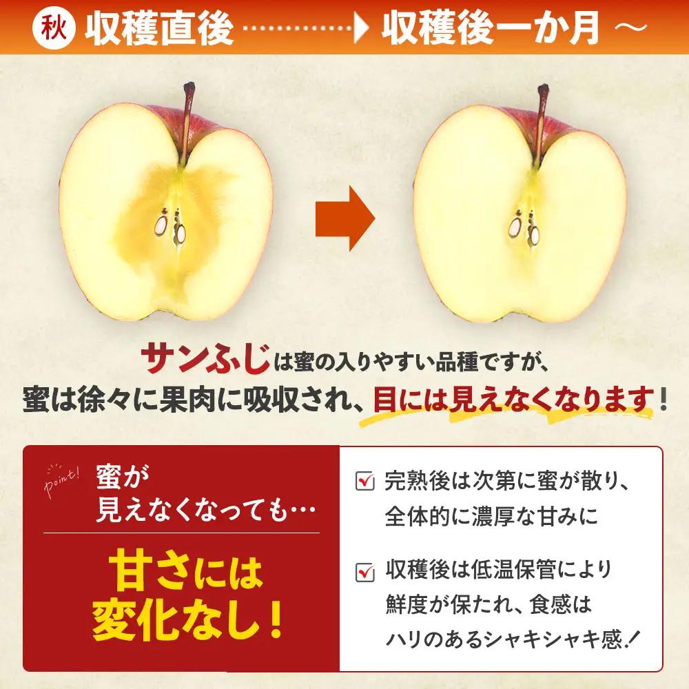 青森県産りんご サンふじ 約3kg 12月中旬～ りんご
