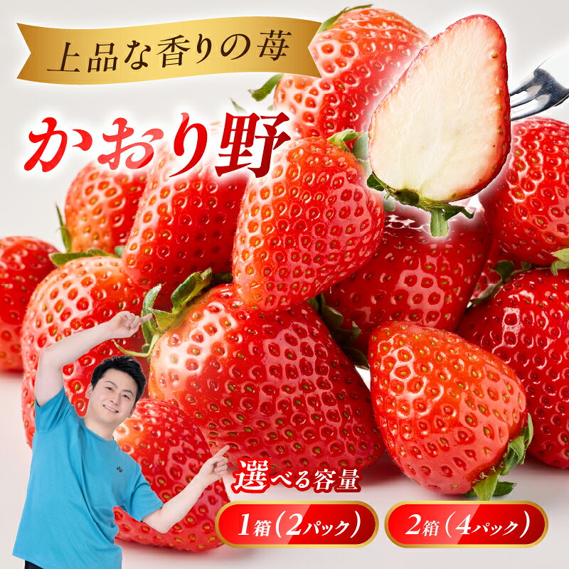 【ふるさと納税】【数量選べる】〈予約受付〉渡邉農園 佐賀県玄海町産かおり野 1箱2パック or 2箱4パック（2027年1月〜3月にお届け）／ かのり野 苺 いちご イチゴ 希少 果物 くだもの フルーツ デザート 旬 1月配送 順次配送 予約受付