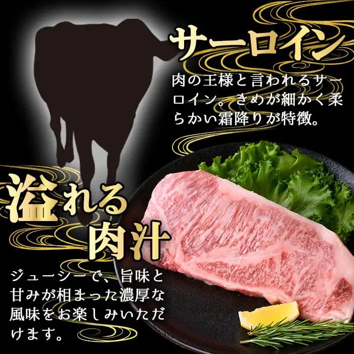 鹿児島県産 A5等級 黒毛 和牛 贅沢 厚切り とろける サーロインステーキ (計600g・300g×2枚) 【KNOT】C46