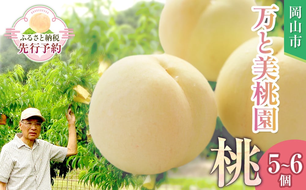 
            【先行予約】ふるさと納税 岡山市 桃 5~6個 瀬戸町 万と美桃園　
          