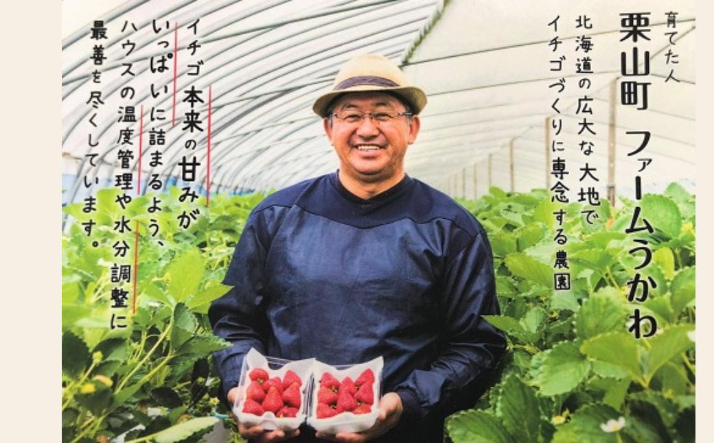 ファームうかわの冷凍いちご1kg