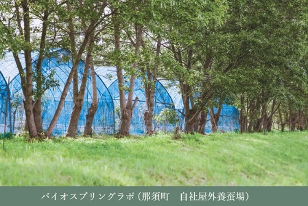 PALELINO ロディニアシルクスキンケア基本セット(化粧水150mL＋美容液30mL) 化粧水 美容液 保湿 うるおい スキンケア 化粧品 コスメ 〔P-119〕