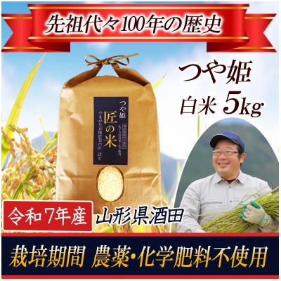 ふるさと納税 酒田市 【栽培期間中農薬不使用】つや姫 精米5kg 大粒LLサイズ以上厳選【令和7年産】
