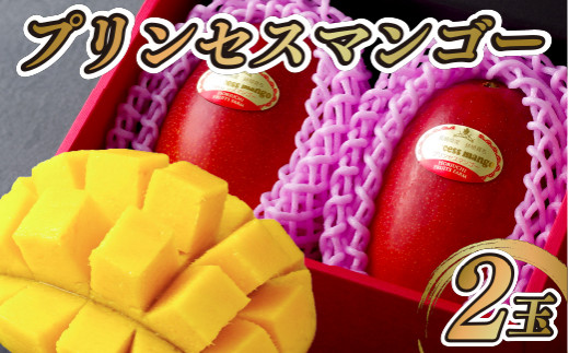 【 先行予約 】 プリンセスマンゴー 生果実 (2L) 2玉 完熟 産地直送 ブランドフルーツ マンゴー 新鮮 フレッシュ  贈答 ギフト 化粧箱入 フルーツ 果物 果実 長崎県 佐世保市