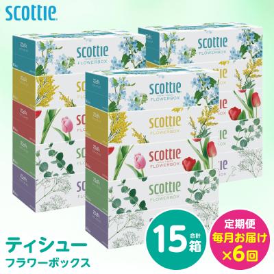 ふるさと納税 八代市 【毎月定期便】 ティッシュ 250組 15箱 日用品 スコッティ 全6回_186-6654