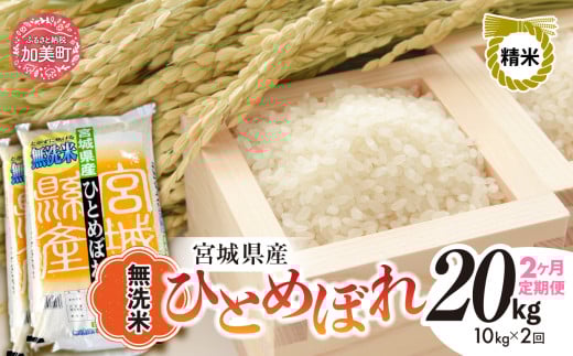 【 2回 定期便 】無洗米 令和7年度産 宮城 ひとめぼれ 計 20kg （ 10kg × 2回 ）｜ 菅原精米工業 宮城県 加美町 sw-hb10-mu-t2-r7 ｜ ヒトメボレ 米 コメ ごはん お米