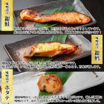 ふるさと納税 南魚沼市 【無地熨斗】味噌漬け 漬け魚 銀鮭 銀鱈 計4切 ホタテ 4個入 越後味噌 新潟県 南魚沼市 7 |  | 02