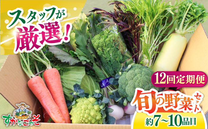 
【全12回定期便】よこすか野菜セット すかなボックス 【JAよこすか葉山】 [AKFO009]
