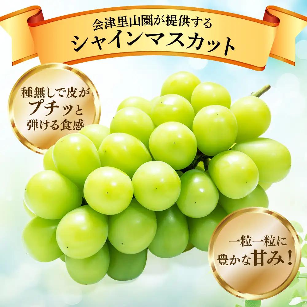 47-B【予約開始】完熟シャインマスカット 650～750g 2房 （会津里山農園）※2026年10月～発送