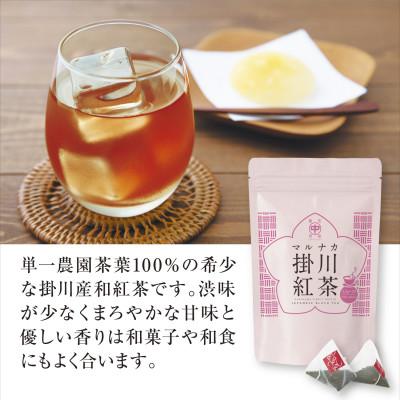 ふるさと納税 掛川市 和紅茶ティーバッグ「マルナカ掛川紅茶」(2.5g×20個入)×3袋セット |  | 01
