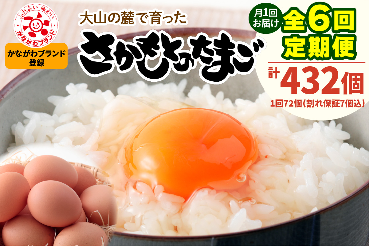 [定期便／6ヶ月×月1回] 坂本養鶏 大山の麓で育った さかもとのたまご 72個 (65個＋割れ保証7個) 合計432個｜伊勢原市 赤玉卵 玉子 鶏卵 生卵 国産 TKG タマゴ 新鮮 大山 鶏 ギフ