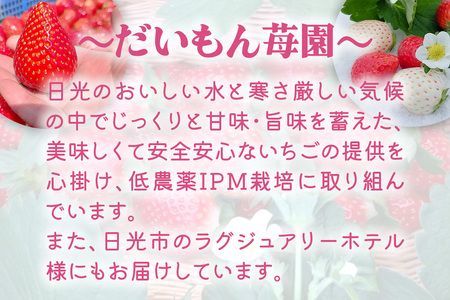 [2025年1月中旬より順次発送] 2種お楽しみ食べ比べセット「とちあいか＆スカイベリー」計300g×2パック｜とちあいか スカイベリー いちご イチゴ 苺 フルーツ 果実 スイーツ 日光市産 栃木県