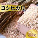 【ふるさと納税】三木市産コシヒカリ「玄米」　5kg　【 お米 ブランド米 銘柄米 ご飯 おにぎり お弁当 和食 主食 国産 産地直送 兵庫県産コシヒカリ 】