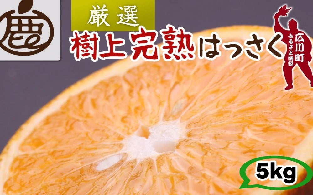 
            樹上 完熟 はっさく 5kg+250g 厳選 光センサー / 八朔 高級 木なり 甘い 和歌山 有田 柑橘 ※4月上旬〜5月上旬に順次発送 ※北海道・沖縄・離島への配送不可 【ikd022-p-5B】
          