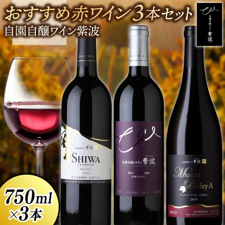 おすすめ赤ワイン３本セット【マスカットベーリーＡ樽熟成・プレミアムメルロー・メルロー】 (AL089)【26/6限定】