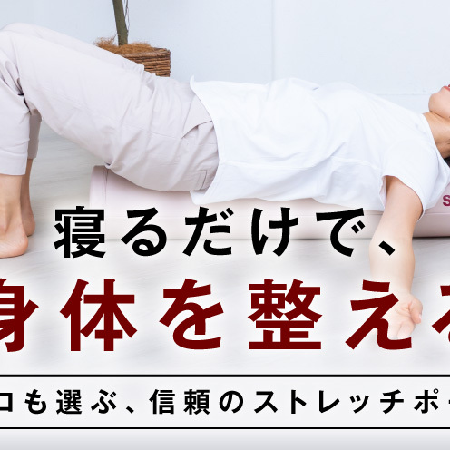 【LPN社製】ストレッチポールEX ピンクベージュ【正規品 セルフケア ストレッチ エクササイズ 腰痛 肩こり 体幹 コアトレ】 100F080_イメージ3