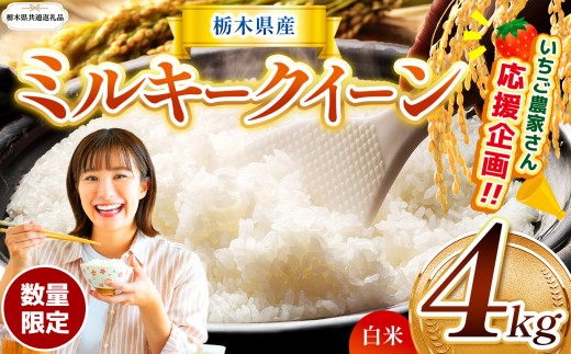 【栃木県共通返礼品】【先行予約】【定期2回】 訳あり 数量 限定 令和8年度産 ミルキークイーン 約 4kg | とちぎの星 ミルキークイーン  玄米 白米 ごはん おいしい  ふるさと納税 那珂川町 栃木県