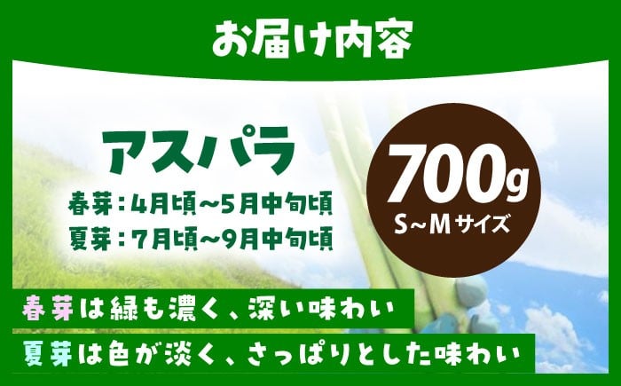食品 野菜 アスパラ アスパラガス あすぱら あすぱらがす 佐賀県 佐賀 国産