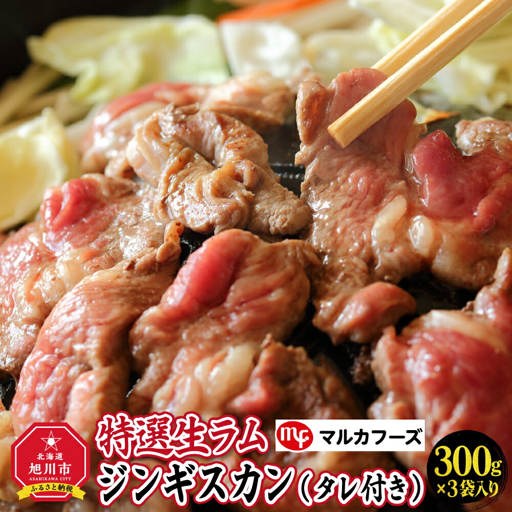 【ふるさと納税】選生ラムジンギスカン（タレ付き）_00386 | 肉 ラム 北海道 ジンギスカン 生ラム 小分け 冷凍 お取り寄せ グルメ ランキング おかず ご飯に合う おすすめ 事業者 生産者 支援 旭川市ふるさと納税 北海道ふるさと納税 味付き 焼くだけ 簡単調理 羊肉 ラム肉