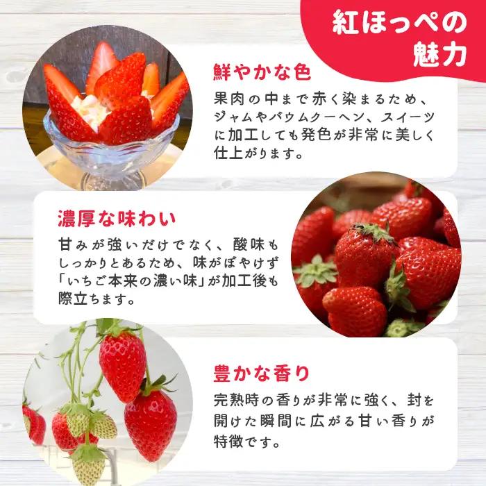 〈即日発送〉マーブルアイスの紅ほっぺいちごアイス 7個入り 80ml 生乳 牛乳 ミルク スイーツ アイスクリーム
