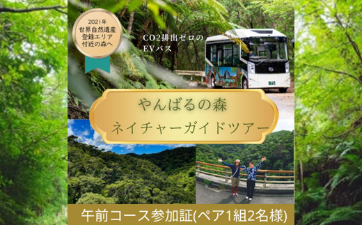 【一ヶ月前予約必須】やんばるの森ネイチャーガイドEVバスツアー 平日午前コース(ペア1組2名様分)