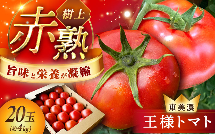 【1ヶ月程度で発送！】【10月1日まで受付】赤熟もぎりのひがしみの王様トマト 20玉（約4kg） / トマト とまと 王様トマト 完熟 / 恵那市 / 東美濃農業協同組合 [AUDS002]