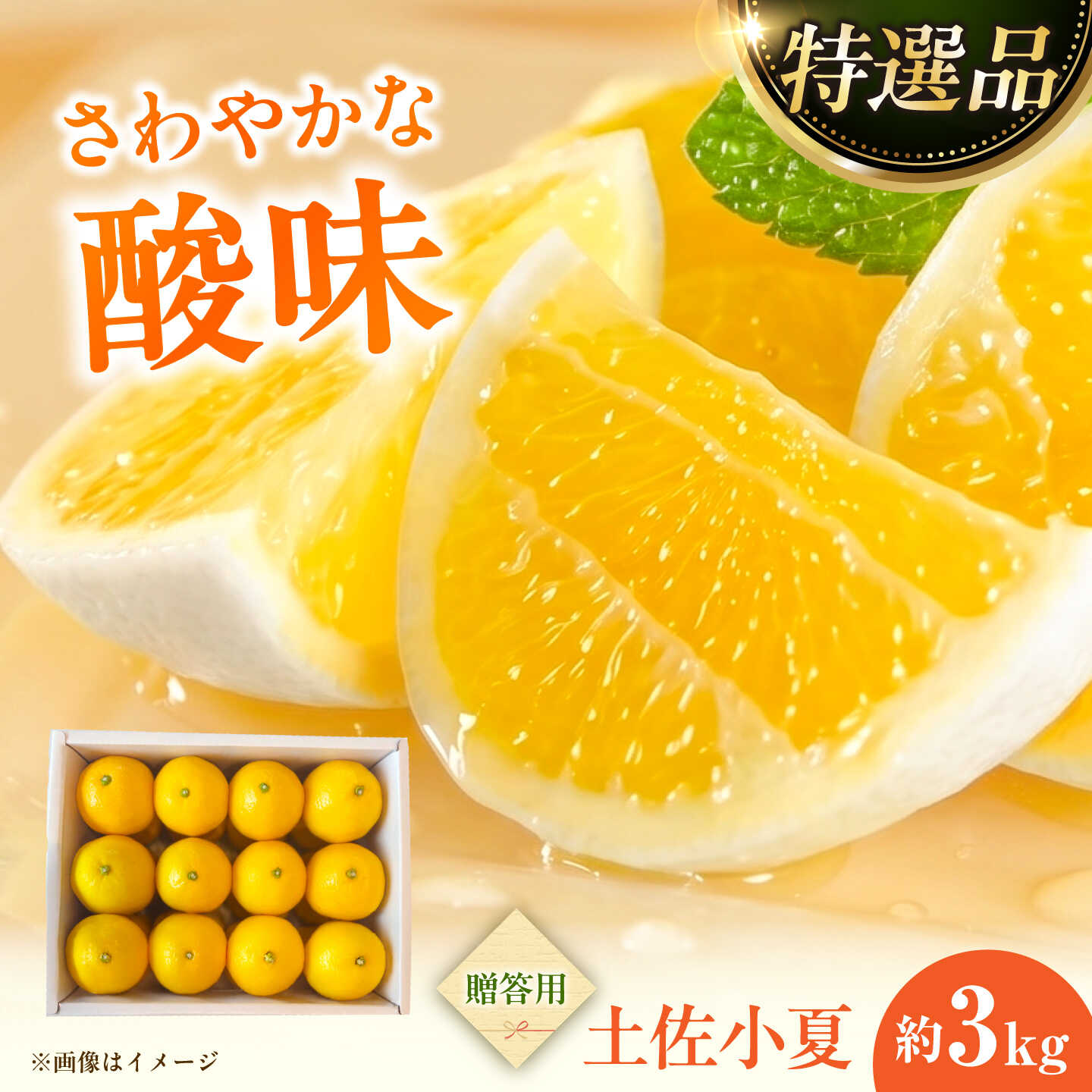【ふるさと納税】【先行予約】土佐小夏 特選品贈答用 約3kg〈2027年5月下旬〜2027年6月下旬頃発送〉夏 高知 柑橘 フルーツ こなつ 夏 甘い 旬 産直 ジュース 爽やか お取り寄せ 国産 土佐 高知県土佐市/白木果樹園[BQAI027]