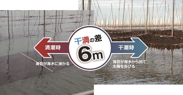プレミアム佐賀海苔味付のり3袋セット：A095-006_イメージ4