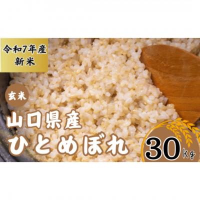 ふるさと納税 宇部市 【先行予約/令和7年産新米】宇部市産 ひとめぼれ[玄米] 30Kg