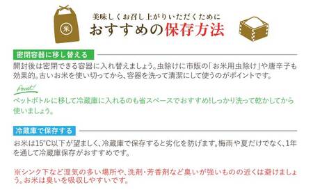 先行予約 令和7年産 精米 新米 森のくまさん 5kg 【2025年11月上旬から発送予定】 JA熊本うき