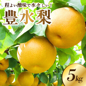 ＜2025年9月上旬～発送開始＞JAなすの産　梨　豊水　5kg 【栃木県共通返礼品】