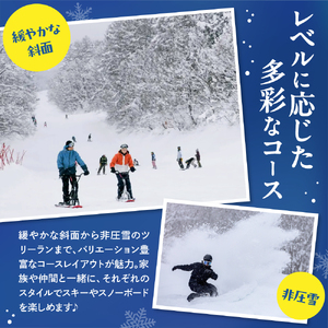 池の平温泉アルペンブリックスキー場　リフト1日券（ICカード引換券）3枚 2025 - 2026 シーズン スキー スノーボード リフト券 妙高山 野尻湖 ゲレンデ アウトドア スポーツ 冬 チケット