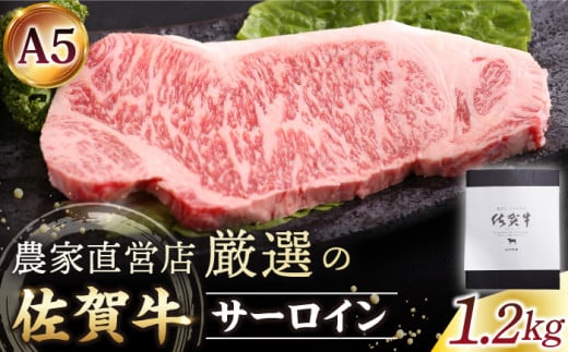 
【霜降り A5ランク】佐賀牛 サーロイン ステーキ 1.2kg ( 300g×4枚 ) 【山下牛舎】 [HAD028]
