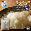 【ふるさと納税】 米 白米 きぬむすめ 5kg 農薬7割減 特別栽培 安心 安全 こだわり 減農薬 ごはん 焼津 a18-074