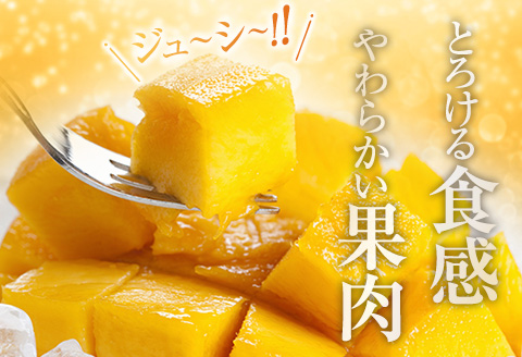 訳あり 宮崎県産 完熟マンゴー 約1.8kg 令和9年発送分 2027年 フルーツ 果物 くだもの 宮崎マンゴー 希少 濃厚 ワケアリ ご褒美 お祝い 国産 食品 おやつ デザート とろける食感 おす