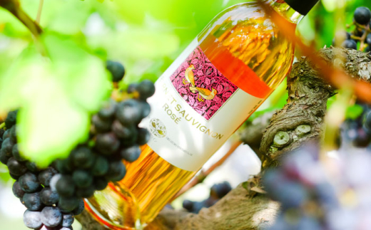 ワイン 奥出雲葡萄園 カベルネソーヴィニヨン・ロゼ 3本セット 国産 ワイン セット ロゼワイン カベルネソーヴィニヨン ロゼ 3本 3本セット 詰め合わせ 飲み比べ セット お酒 酒 アルコール 日