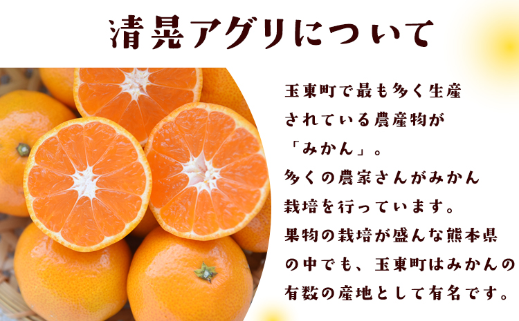 ご家庭用『清晃アグリ』のご家庭用みかん★約4kg(2S-2Lサイズ) 予約受付中 フルーツ 秋 旬★熊本県玉名郡玉東町 健康な土で育つジューシーおいしいみかん！ちょこっと訳あり《11月中旬-12月末頃