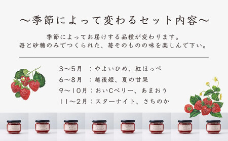 【MAISON DE FROUGE】苺専門店がお届けする季節の自家製苺ジャムセット（2種・各100g） [ 京都 いちご 苺スイーツ専門店 あまおう さちのか 紅ほっぺ おいCベリー 人気 おすすめ 