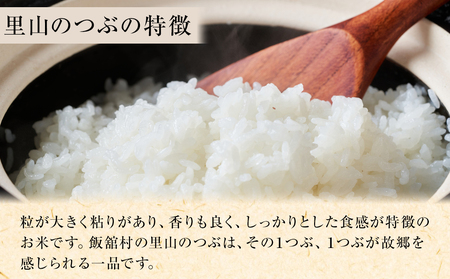 【4か月定期便】令和7年産 飯舘村産 里山のつぶ 5kg (精米)