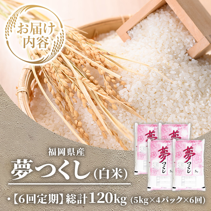 ≪令和7年産新米≫【6回定期便・白米】【食味鑑定士厳選】福岡県産 夢つくし(総計120kg・5kg×4袋×6回) 白米 米 お米 おこめ ごはん ゆめつくし ご飯 常温 福岡県産 ブランド米 定期便 