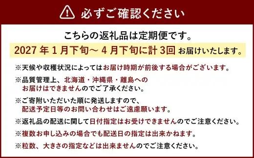 【3回定期便】あまおう 3パック いちご 苺 イチゴ フルーツ 果物【2027年1月下旬～4月下旬発送予定】
