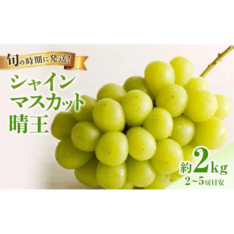 シャインマスカット 晴王 秀品大房 岡山県産 シャインマスカット【約2kg 2～5房】【先行予約】