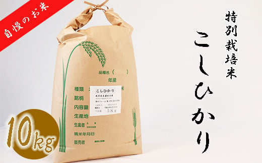 
≪令和6年産≫ 新米 【特別栽培米】 垂井町産 コシヒカリ 10kg
